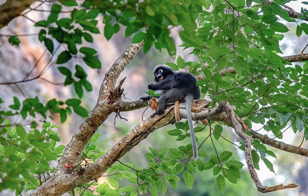 Nature and seaside adventure for families