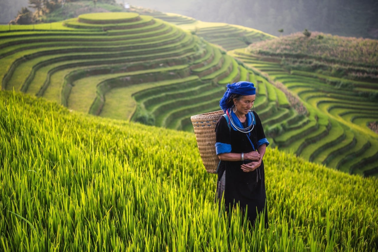 La boucle de charme au delta du fleuve Rouge