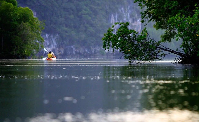 Tour image