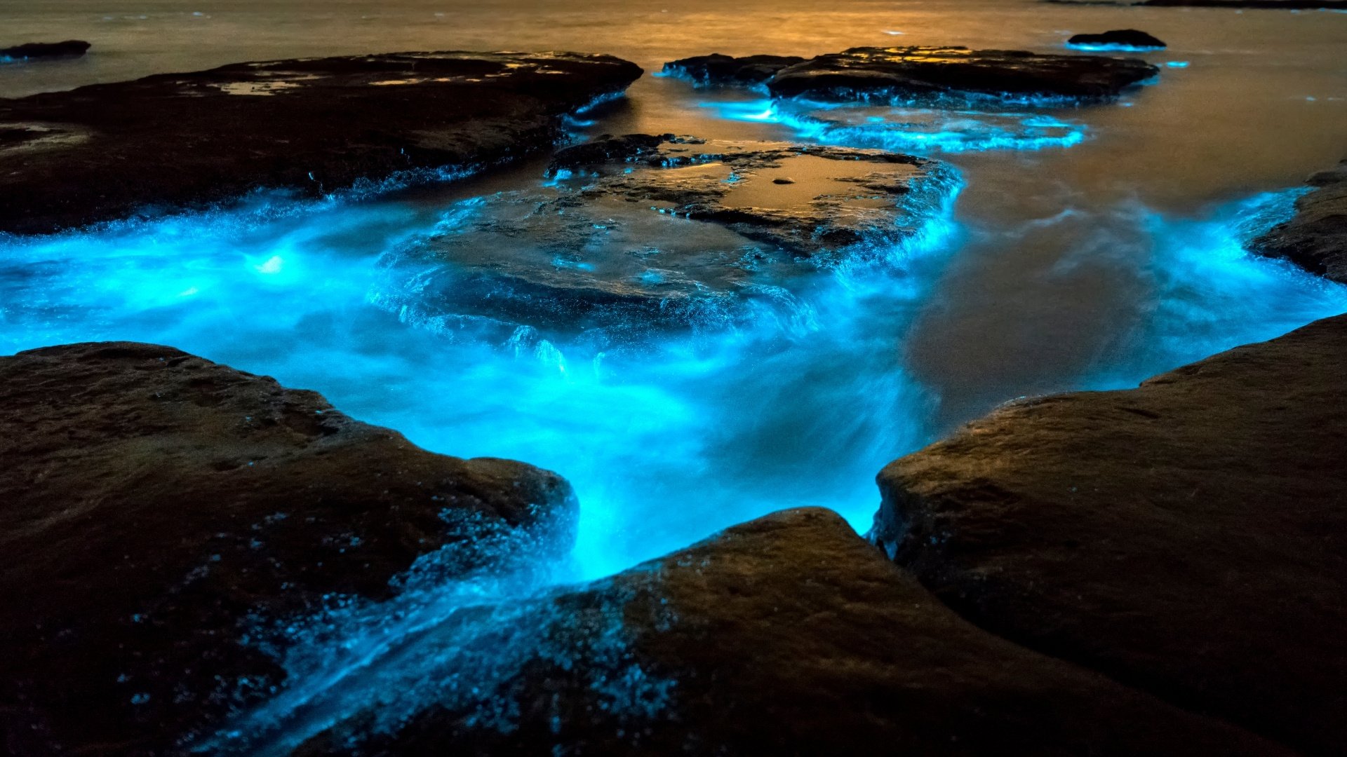 Plancton bioluminescent en Thaïlande : nos conseils pour vraiment le voir