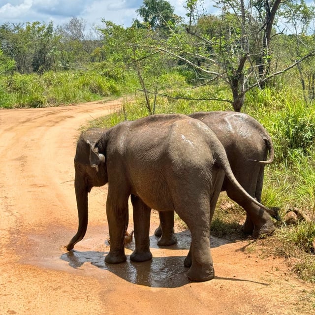 I have only one word: a huge thank you!
The team at this travel agency is of the highest quality. We enjoyed a tailor-made trip with thoughtful touches and a 24/7 concierge service that made our journey truly idyllic.
We’ll be traveling with you again in 2023!