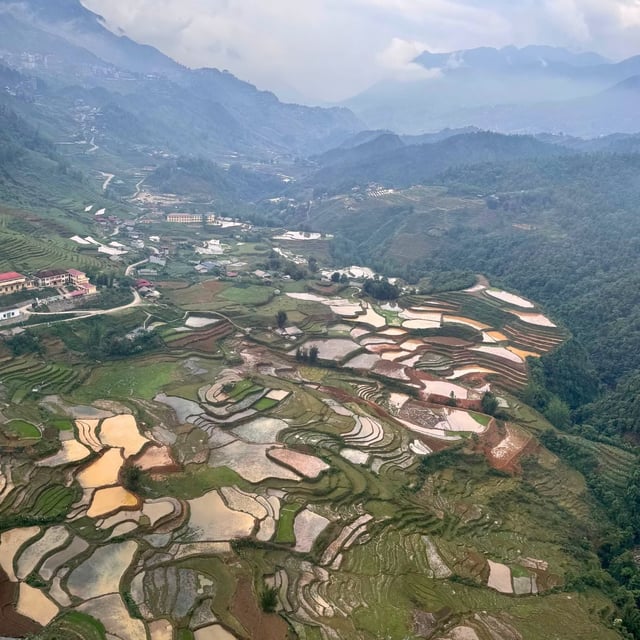 A very professional agency that we highly recommend.