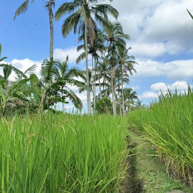 Merci à Odasie qui a su nous organiser un voyage sur mesure correspondant parfaitement à nos attentes et à notre budget ...
Il y en a eu pour tous les gouts de la famille (2 adultes et 2 enfants 17 et 19 ans), expériences culinaires uniques, sportives dépaysantes, culturelles ... Encore un grand merci !!!