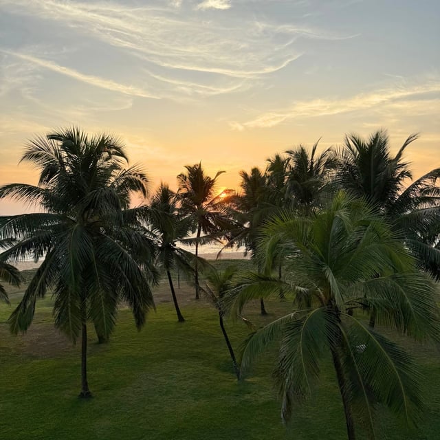 Excellent organization of our trip by ODASIE.
We appreciated the professionalism and efficiency of this agency. An enjoyable stay with rich cultural experiences.