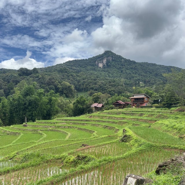 A huge thank you to the entire Odasie team!
A complete trip, perfectly aligned with our values, meeting and even exceeding our expectations!
We encountered no issues or delays; the organization was flawless!
The team was reachable 24/7 and extremely responsive!
We had an extraordinary journey and return home with our heads full of memories!
I wholeheartedly recommend Odasie!