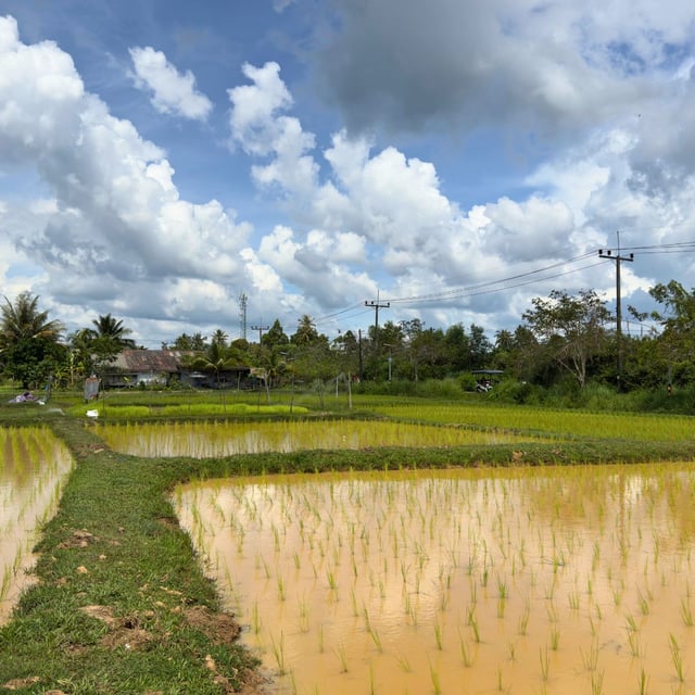 A wonderful experience. We traveled through central and northern Thailand. Véronique really understood our request, and everything was perfect. The guides were exactly what we needed and always friendly. The hotels were of a good standard, just as expected. No wasted time, but no stress either. I highly recommend Odasie, especially since some time ago we traveled to Vietnam with another agency and didn’t get the same balance, which left us disappointed. Congratulations to the whole team!