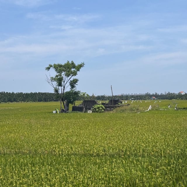 A wonderful trip to Vietnam thanks to ODASIE! Everything was perfect, and the team was attentive at every step. Unforgettable memories, we highly recommend them! Franck and Isabelle