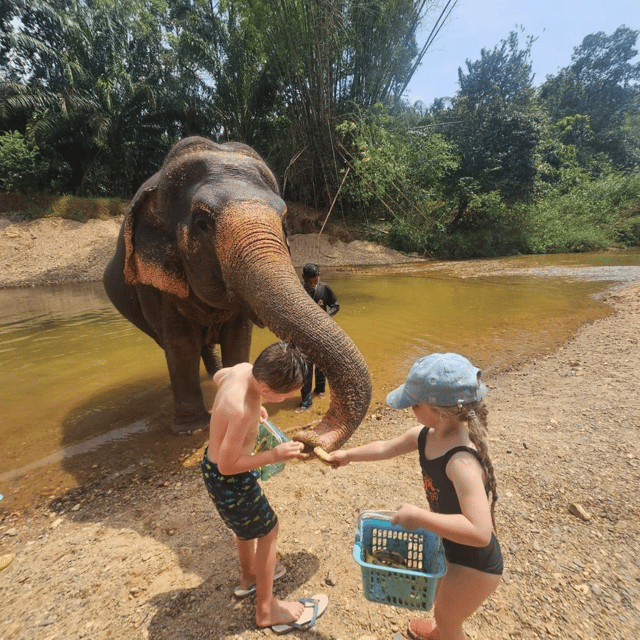 Voyage en famille de 11 personnes de 4 à 71 ans. Super organisation, les chauffeurs toujours à l’heure et bienveillants. Les guides très sympathiques et dévoués, désireux de nous faire découvrir ce magnifique pays. Toutes les réservations hôtels ou excursions étaient très bien organisés. Un grand bravo pour la logistique. Nous avons découvert des paysages magnifiques et sommes rentrés à regret.