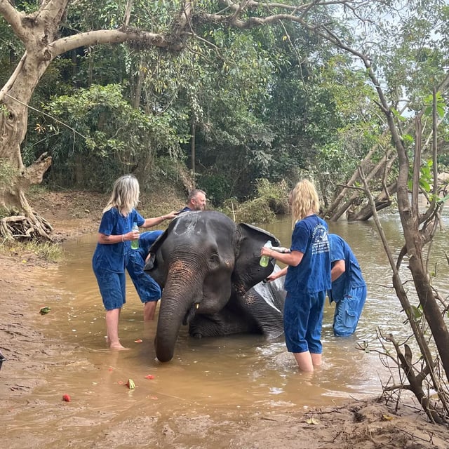 Back from our family trip to Thailand, we want to thank the Odasie team for making our journey exceptional and exceeding all our expectations! Trust Odasie with the organization of your trip, you won’t be disappointed!