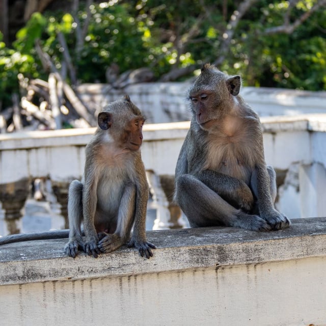 Organisation impeccable. Disponibilité de l’agence 24/7. Guides et chauffeurs très dévoués, toujours au poste même avec une avance. Les hébergements bien situés. Franchement, on ne peut espérer mieux.