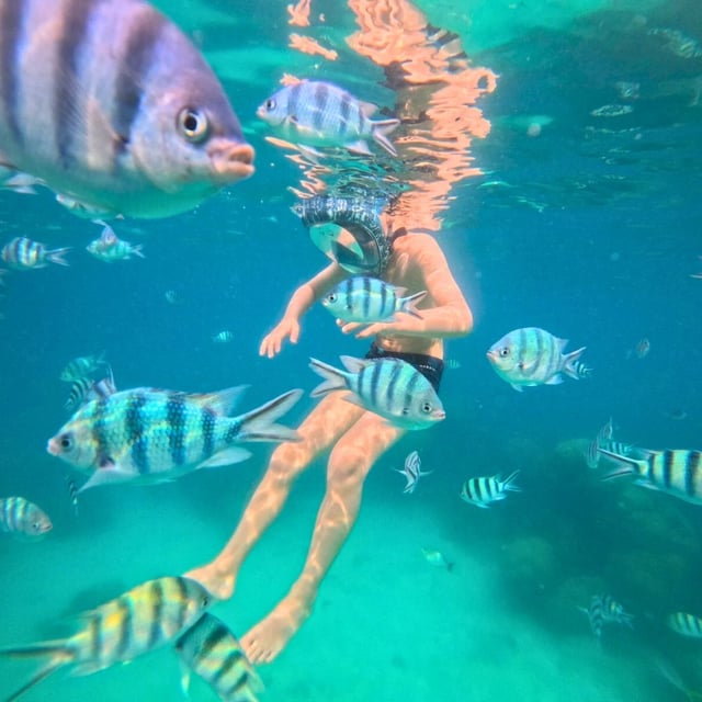 An amazing agency. Private tour with a French-speaking guide, prepared in advance according to our wishes and budget. On site, everything was perfectly organized down to the smallest detail. Schedules were respected by the drivers and guides, but visits were at our own pace. Very satisfied! The added value of the agency is having someone available at any time, with everything arranged taxis, visits, etc.
Trip with 3 adults and 2 children (7 and 12 years old).