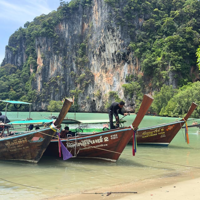 Nous nous sommes décidés à partir en Thaïlande juste 1 mois avant notre départ. Nous avions des dates fixes à respecter et de plus nous voulions réaliser une croisière de plongée pendant ce séjour. C’est là que la connaissance du terrain et la réactivité d’Odasie ont été très bénéfique. Le séjour s’est parfaitement déroulé, choix des hôtels et des activités, respect des conditions de visites par les guides et les chauffeurs.