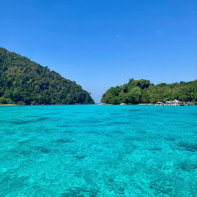 Merveilleux voyage dans le sud de la Thaïlande. Nous étions : moi, mon mari et mon fils de 13 ans. L’agence a été très à l’écoute de nos préférences et a su me conseiller très rapidement dès que j’en ai eu besoin. On a débuté par Khao Lak, avec les magnifiques îles Surin, puis ensuite Khao Sok inoubliable. L’hôtel flottant sur le lac, c’est à faire au moins une fois si on va en Thaïlande. On a même eu la chance d’observer des éléphants sauvages.